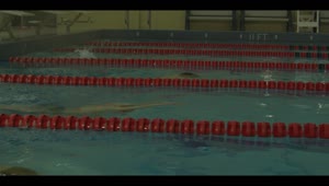 Free Video Stock Slow Motion Swimming Race In An Olympic Pool Live Wallpaper