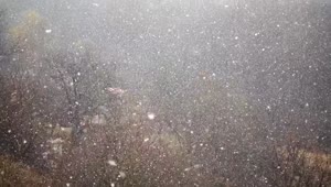 Free Video Stock Slow Snow Falling In The Hills Live Wallpaper