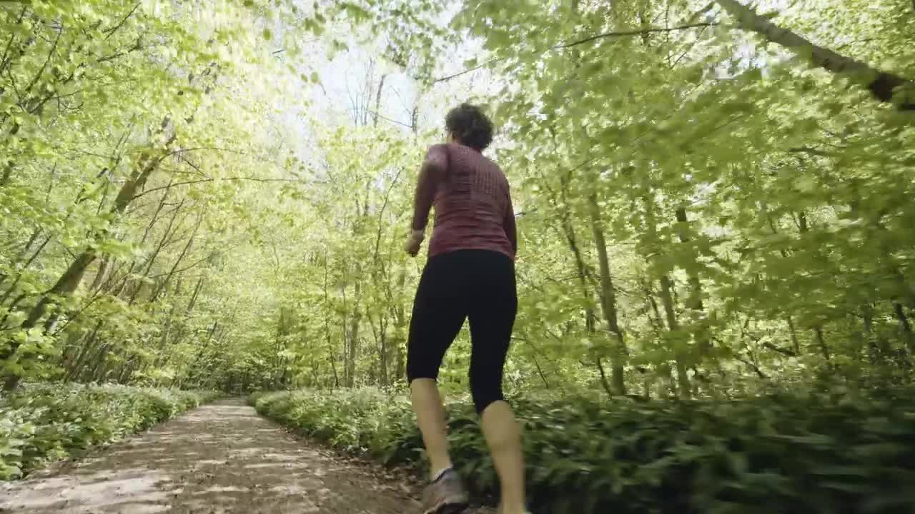 Download Free Video Stock Slowly Running Through A Forest Path Live Wallpaper