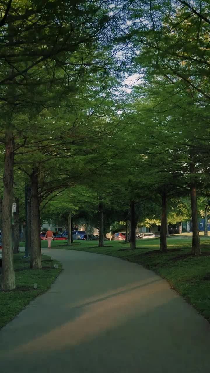 Download Free Video Stock Slowly Walking Down A Path In A Park Live Wallpaper