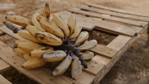 Free Video Stock Small Bananas Over A Wooden Base Live Wallpaper