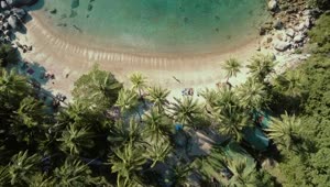 Free Video Stock Small Beach With Palm Trees And Turquoise Water Live Wallpaper