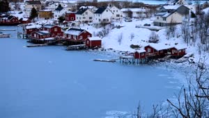 Free Video Stock Small Fish In Town And A Frozen Sea Live Wallpaper