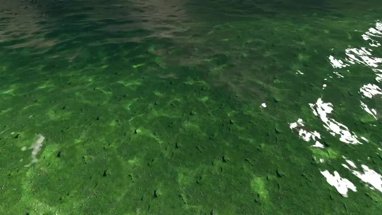 Download Free Video Stock Small Ocean Waves Near The Shore Live Wallpaper