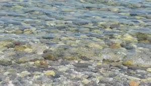 Free Video Stock Small Pebbles Below The Sea Live Wallpaper