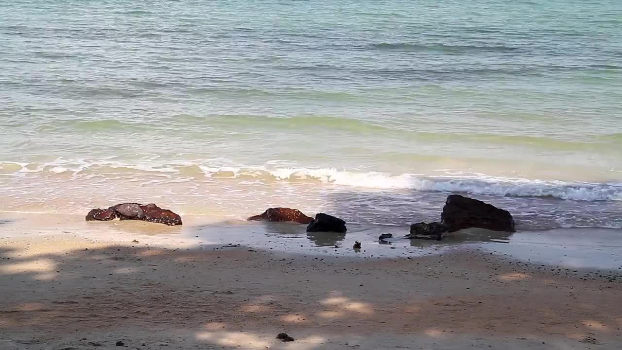 Download Free Video Stock Small Rocks Along The Beach Live Wallpaper