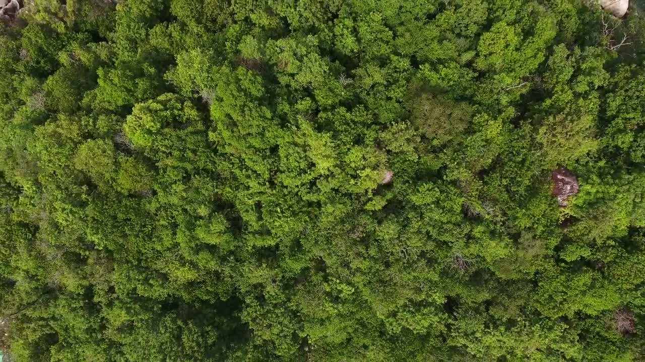 Download Free Video Stock Small Tropical Island In The Middle Of The Sea Live Wallpaper