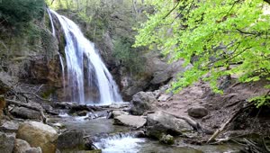 Free Video Stock Small Waterfall And A Stream In Nature Live Wallpaper