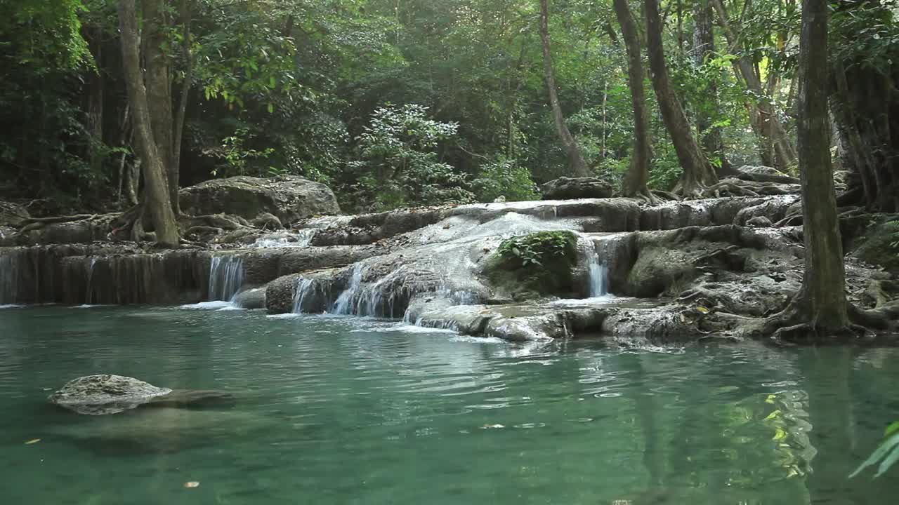 Download Free Video Stock Small Waterfall In A Forest Stream Live Wallpaper