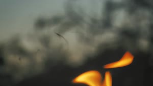 Free Video Stock Smoke Coming Out Of The Fire Live Wallpaper