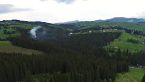Free Video Stock Smoke In A Forest Aerial Shot Live Wallpaper