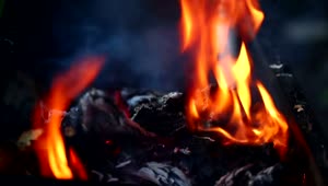 Free Video Stock Smoky Fire And Flames Live Wallpaper