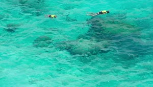 Free Video Stock Snorkeling On Turquoise Waters Live Wallpaper