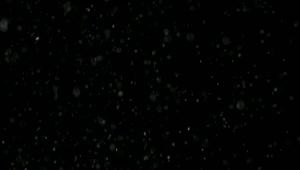 Free Video Stock Snow Falling Gently Live Wallpaper