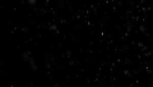 Free Video Stock Snow Falling In A Black Background Live Wallpaper
