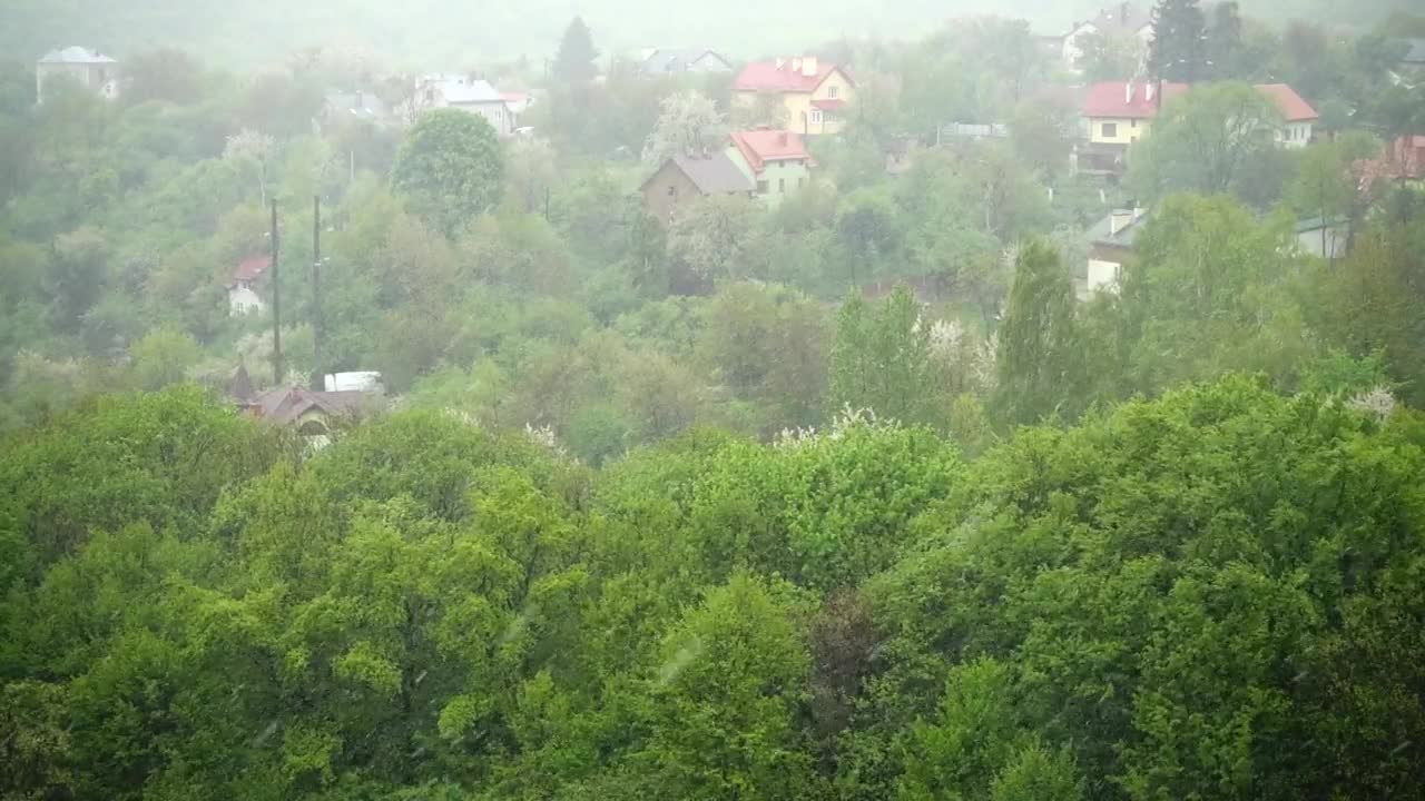 Download Free Video Stock Snow Falling In Spring Live Wallpaper