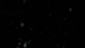 Free Video Stock Snow Falling Softly Against A Black Background Live Wallpaper