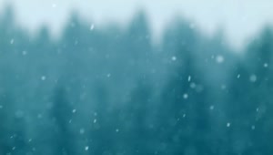 Free Video Stock Snow Falling With An Unfocused Background Live Wallpaper
