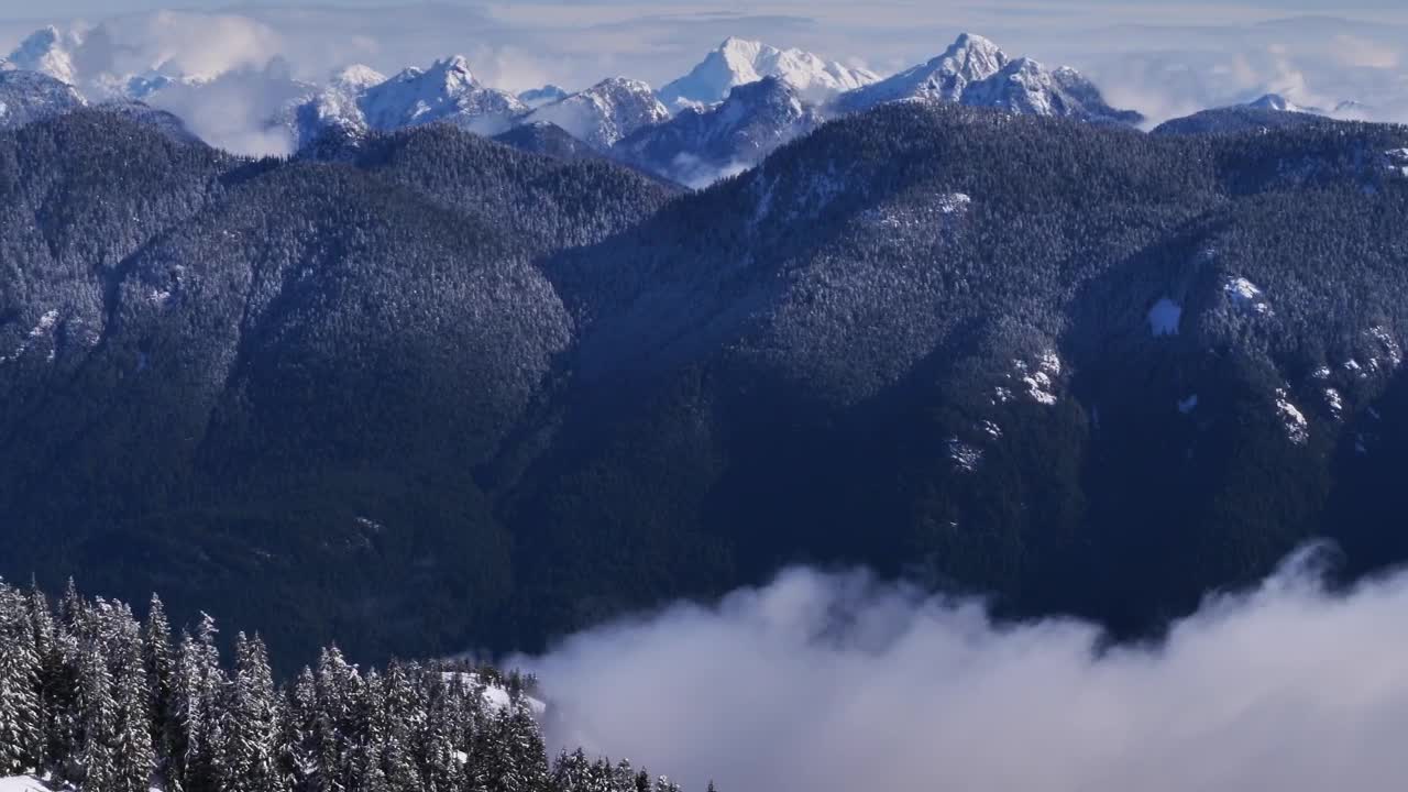 Download Free Video Stock Snow Mountains Pine Covered Live Wallpaper