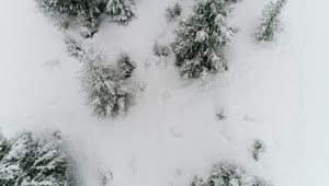 Free Video Stock Snowing In A Forest Top Aerial Shot Live Wallpaper
