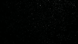 Free Video Stock Snowing On A Black Background Live Wallpaper