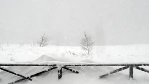 Free Video Stock Snowstorm In The Countryside Live Wallpaper