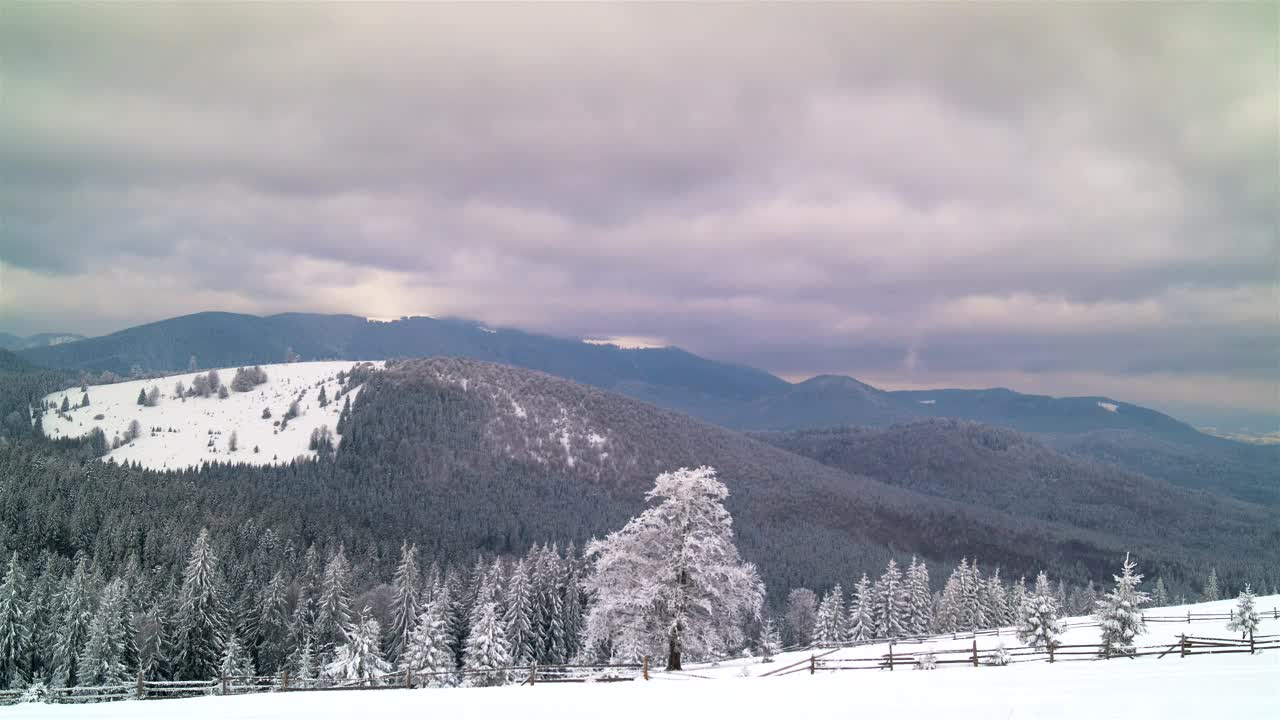 Download Free Video Stock Snowy Forest And Mountain With Cloudy Sky Live Wallpaper