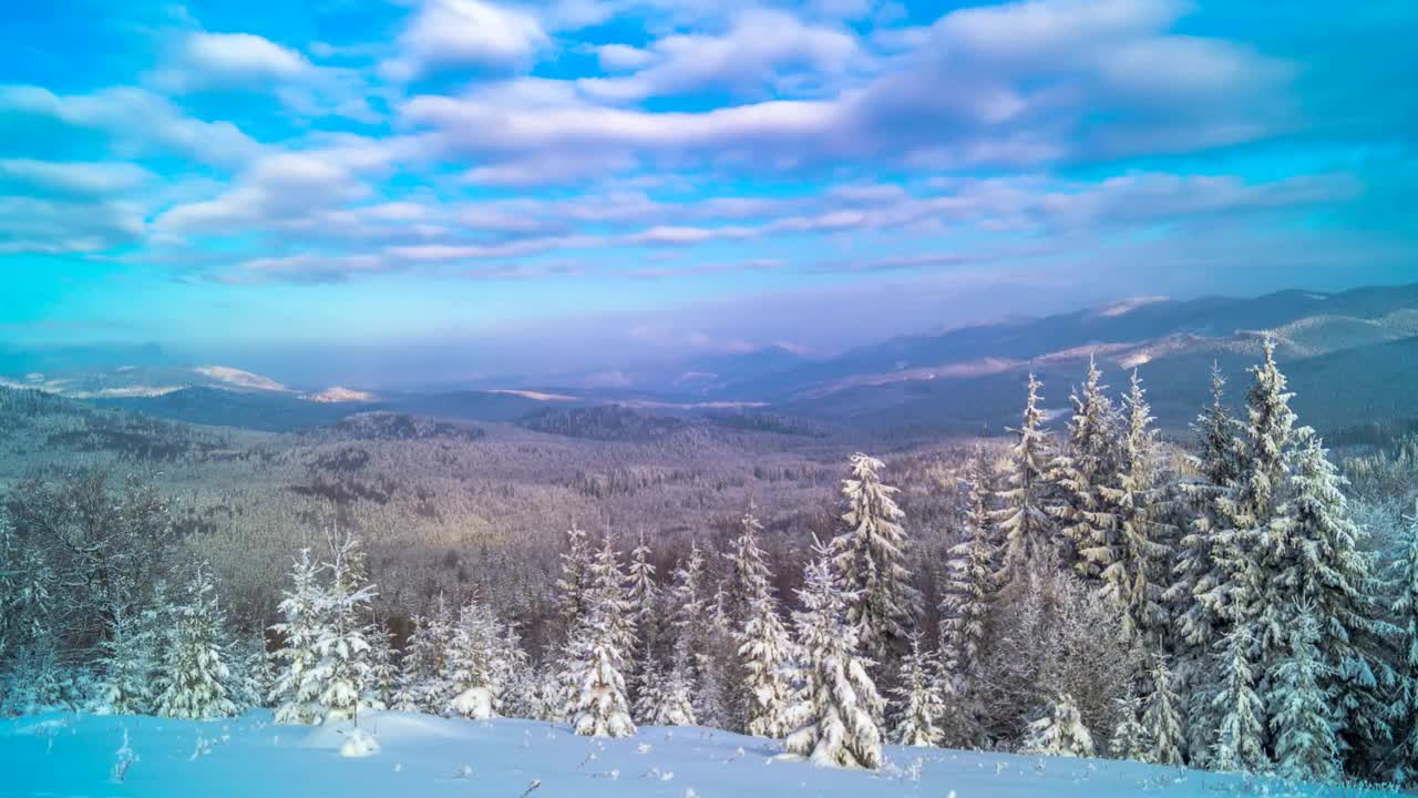 Download Free Video Stock Snowy Forest In The Mountain Landscape Live Wallpaper