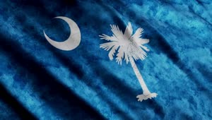 Free Video Stock South Carolina State Flag Live Wallpaper