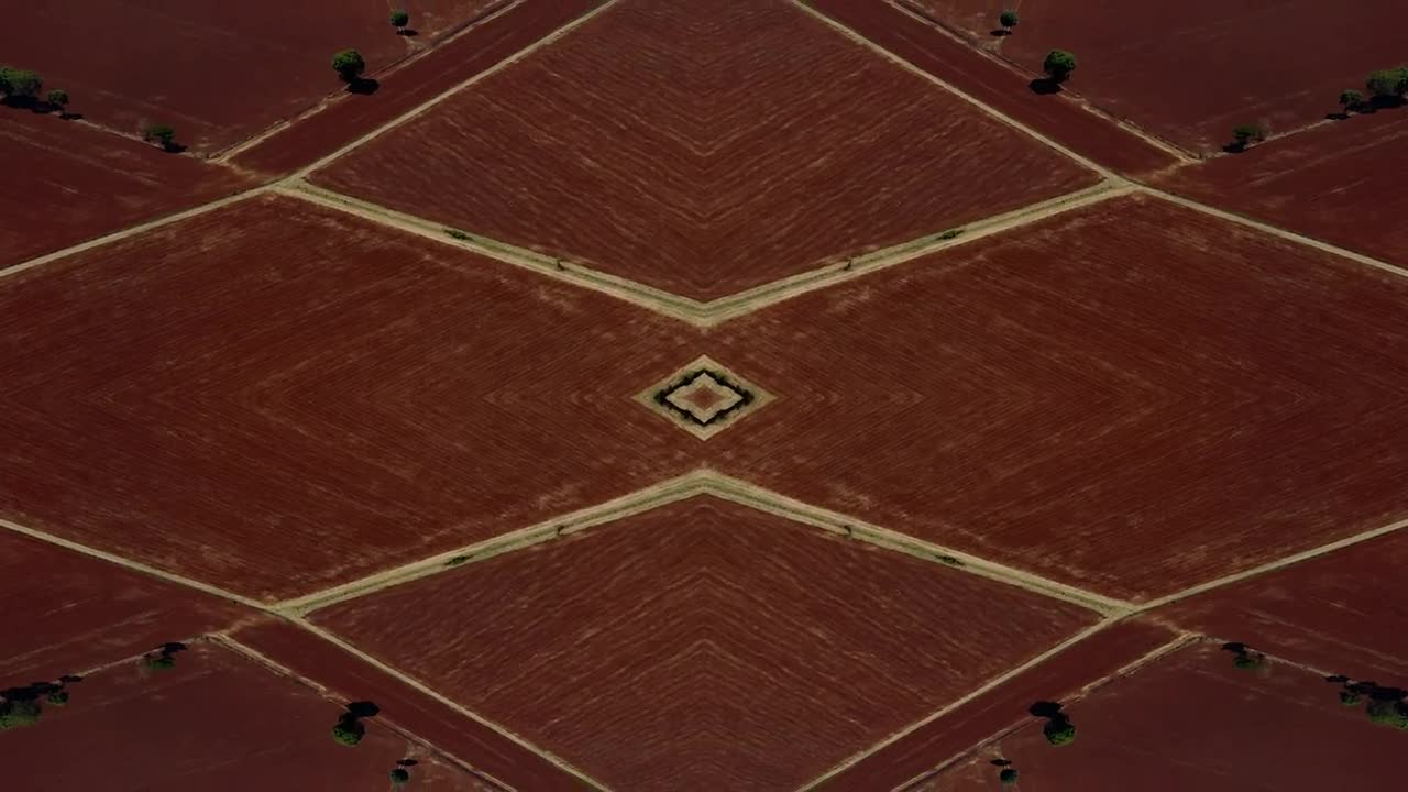 Download Free Video Stock Sowing Red Ground Live Wallpaper