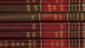 Free Video Stock Spines Of An Encyclopedia Of Classic Books Live Wallpaper