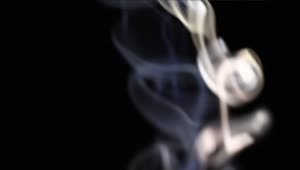 Free Video Stock Spiral Of Smoke Live Wallpaper