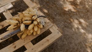 Free Video Stock Stalk Of Small Bananas Over A Wooden Base Live Wallpaper