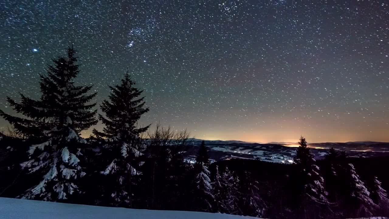 Download Free Video Stock Starry Night In The Forest In Winter Live Wallpaper