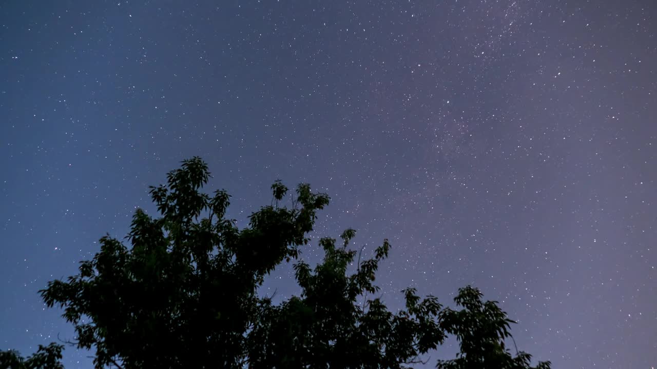 Download Free Video Stock Starry Sky And The Silhouette Of A Tree Live Wallpaper