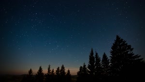 Free Video Stock Starry Sky On A Quiet Night In The Forest Live Wallpaper