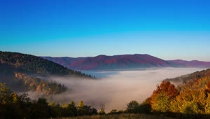 Free Video Stock Static Shot Of A Fog Covered Autumn Landscape Live Wallpaper