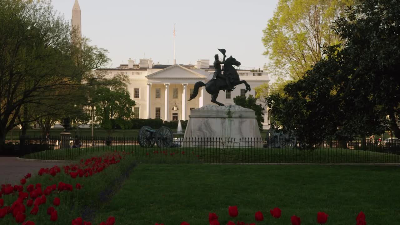 Download Free Video Stock Statue And Cannons Outside The White House Live Wallpaper