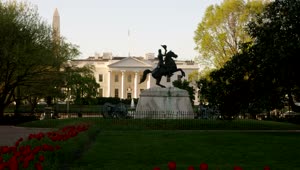 Free Video Stock Statue Outside The White House Live Wallpaper