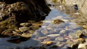 Free Video Stock Stones And Water Live Wallpaper