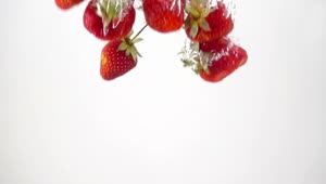 Free Video Stock Strawberries Going Through Water Live Wallpaper