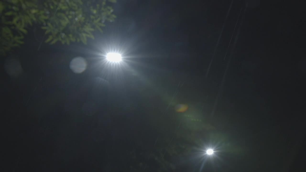 Download Free Video Stock Street Lamps At Night Live Wallpaper