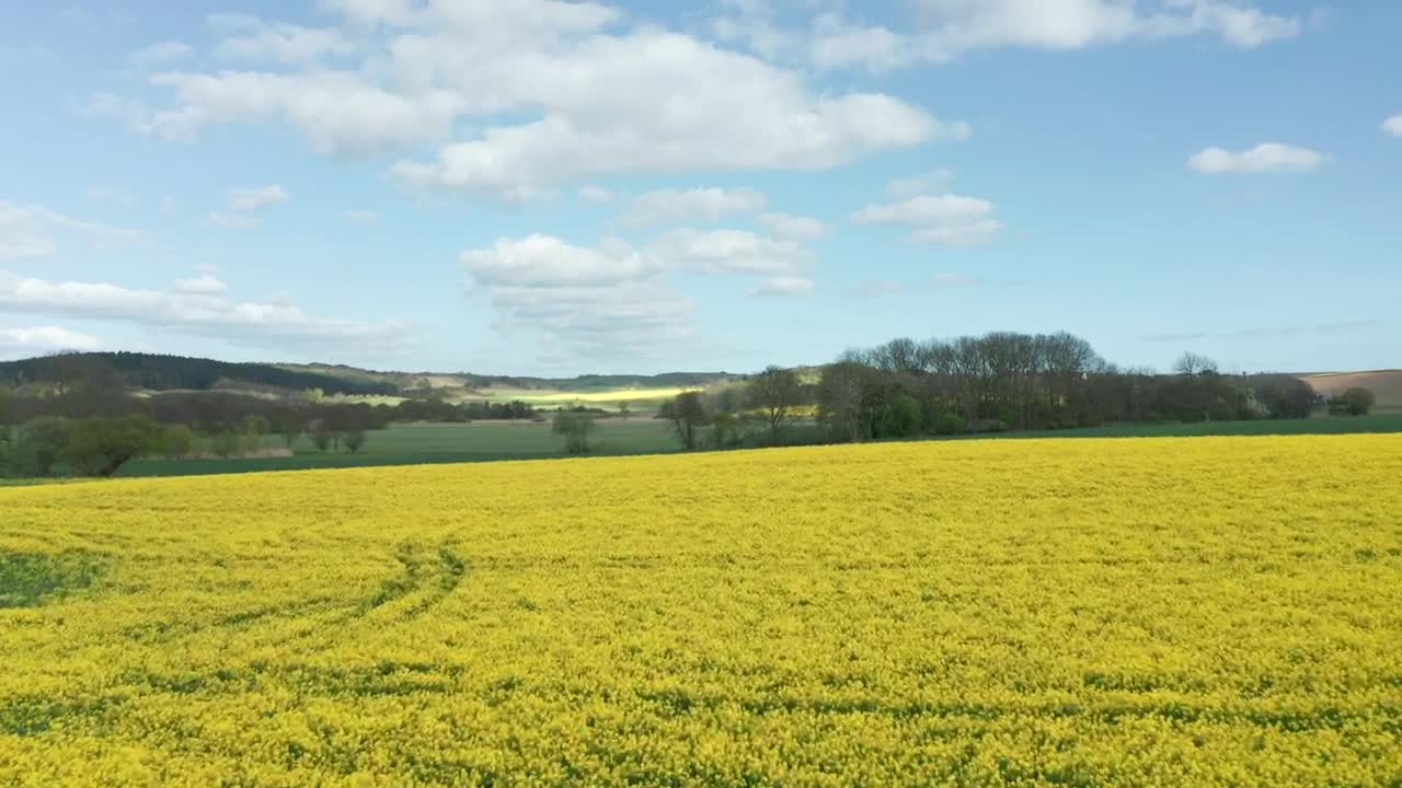 Download Free Video Stock Summer Fields Live Wallpaper