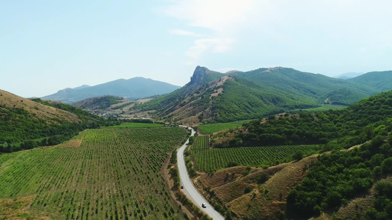 Download Free Video Stock Summer Landscape And Road Live Wallpaper