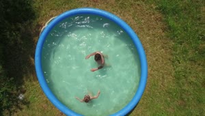 Free Video Stock Summer Pool In A Garden Live Wallpaper