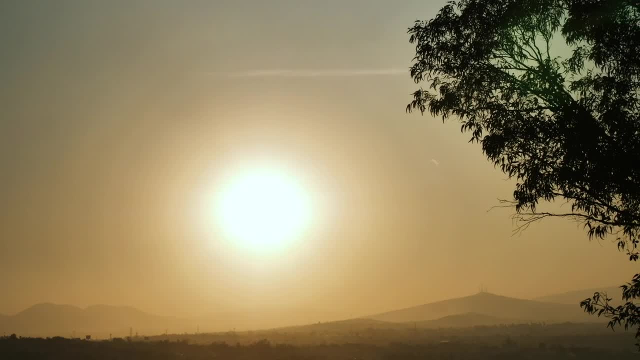 Download Free Video Stock Sun In The Sky And Silhouette Of A Tree Live Wallpaper