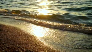Free Video Stock Sun Reflections And Gentle Waves In The Beach Live Wallpaper