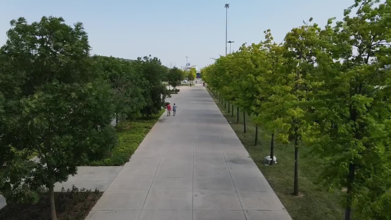 Download Free Video Stock Sunny Park With Trees And People From The Air Live Wallpaper