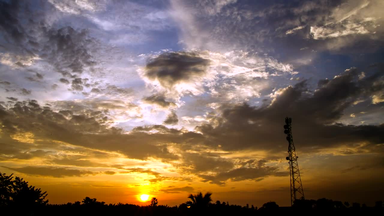 Download Free Video Stock sunrise over palms Live Wallpaper