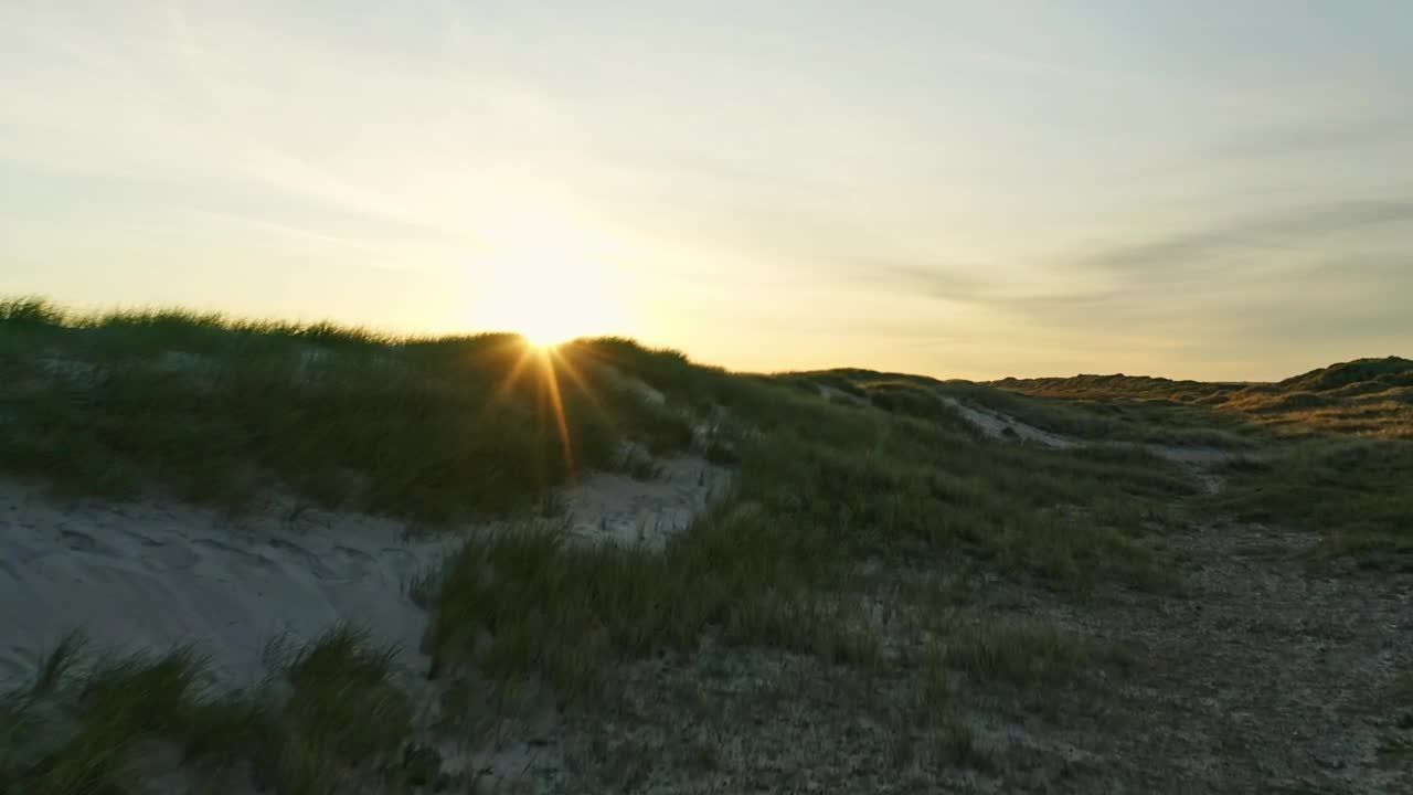 Download Free Video Stock sunrise over wild grass Live Wallpaper